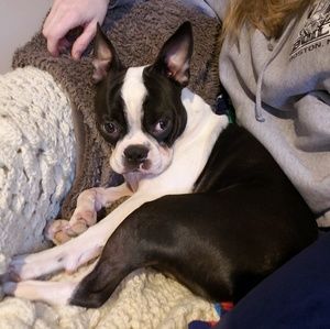 Meet your Posher, Diane